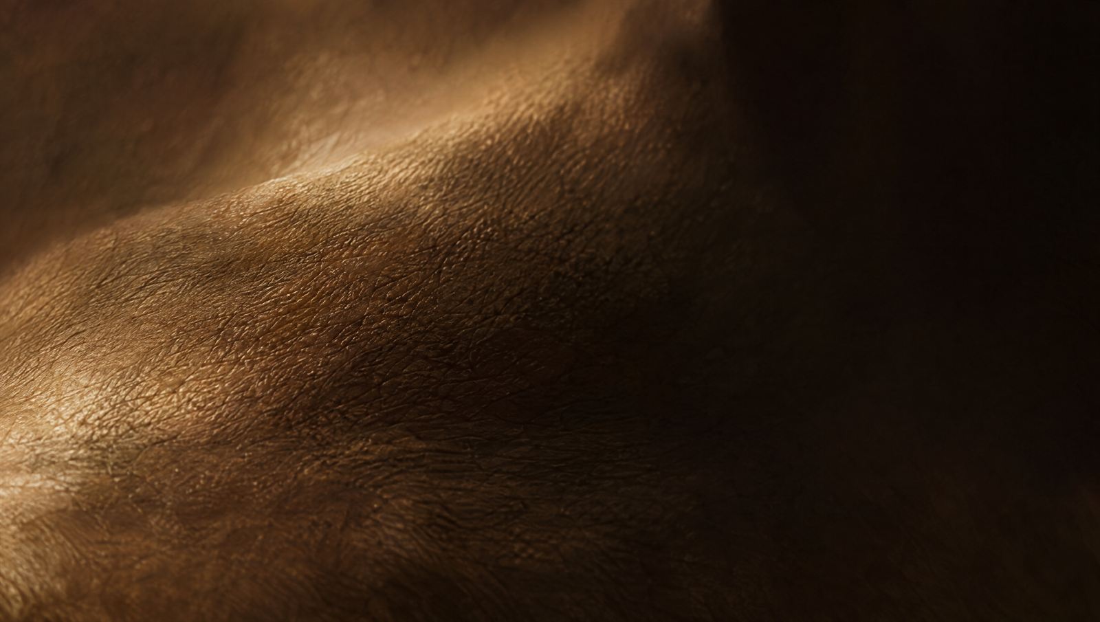 Macro of skin texture in warm light